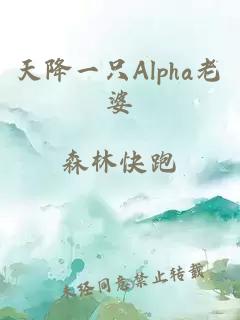 天降一只Alpha老婆